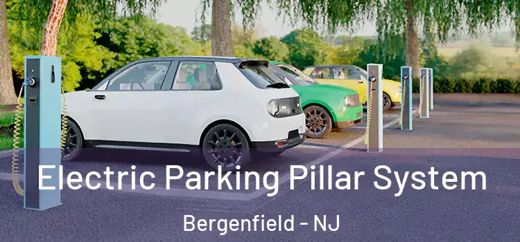 Electric Parking Pillar System Bergenfield - NJ