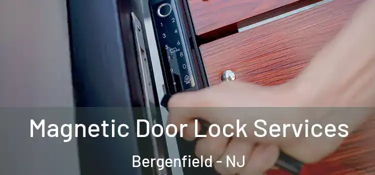 Magnetic Door Lock Services Bergenfield - NJ